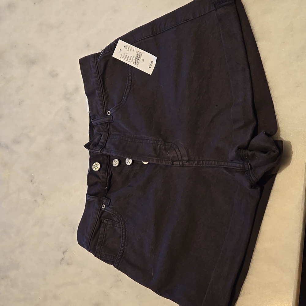 Pacsun Shorts